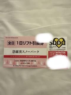 恐羅漢スノーパーク 1日リフト引換券 - メルカリ