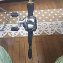 【れいし様専用】メガバスデストロイヤー、アンタレスセット♪のサムネイル