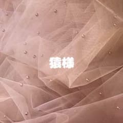 ネイルチップのサムネイル