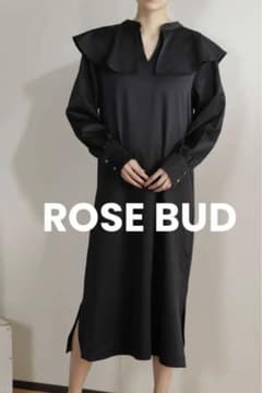 ROSE BUD ビッグカラーワンピースのサムネイル