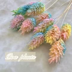 パステルカラー ポアプランツ プリザーブドフラワー 花材のサムネイル