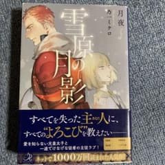 雪原の月影のサムネイル