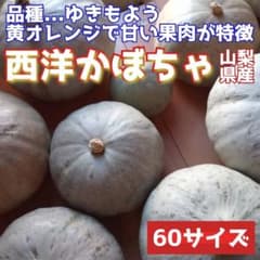 特定栽培】西洋かぼちゃ(ゆきもよう)2玉 60サイズ - メルカリ