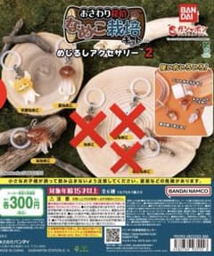 なめこ栽培キット めじるしアクセサリー2のサムネイル