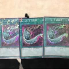 ハーピィの羽根箒のサムネイル