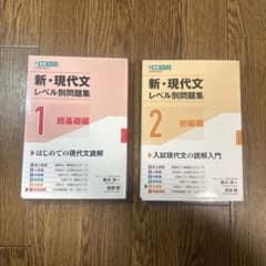 新・現代文レベル別問題集1.2セットのサムネイル