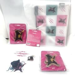 韓国限定 キンプリ キンツア 17周目特典 レンチキュラーフォトカード