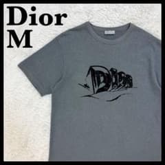 463【美品・M】ディオール Dior Homme ベロアロゴTシャツ グレー 
