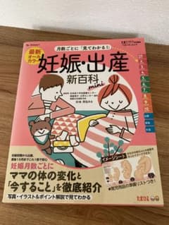 ★値下げ★最新月数ごとに「見てわかる!」妊娠・出産新百科miniのサムネイル