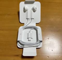 iPhone 순정 이어폰