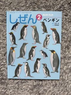 ペンギン　第二シリーズから第五シリーズ しぜん キンダーブック 2月号 ペンギン - メルカリ