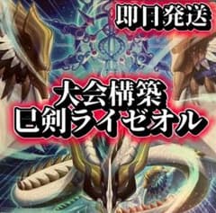 フォロワー様5%オフ　大会構築　巳剣ライゼオルデッキ　① フォロワー様5%オフ 大会構築 巳剣ライゼオルデッキ ① - メルカリ