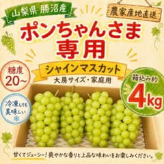 ポンちゃんさま専用 山梨県勝沼産 シャインマスカット 約4kgのサムネイル