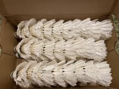 【中古】バドミントンシャトル50球(エアロセンサ600)