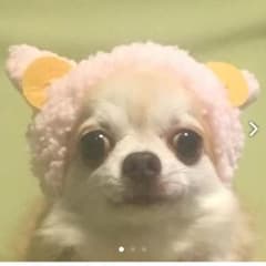 mm*様専用 ひつじちゃんピンクのサムネイル