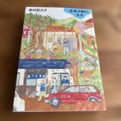 水車小屋のネネ 津村記久子 単行本のサムネイル