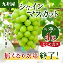 【九州産】シャインマスカット　4房まとめ売りのサムネイル
