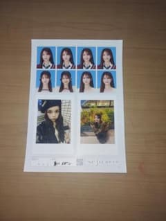 seju 証明写真 vol.1 夏川メガン 2L判のサムネイル