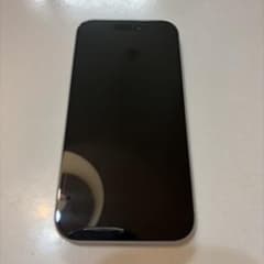 Apple iPhone 15 本体のサムネイル