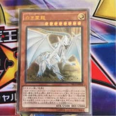 白き霊龍のサムネイル