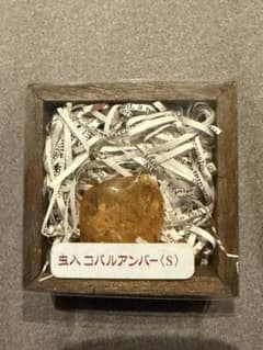 虫入りコパルアンバー sサイズ コロンビア産 化石 - メルカリ