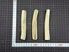 2026-051 鹿の角3本☆鹿の角☆蝦夷鹿☆日本鹿☆鹿角☆シカの角