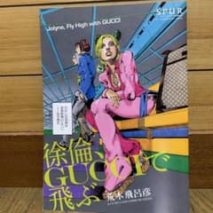徐倫、GUCCIで飛ぶ SPUR2013年2月号別冊付録 - メルカリ