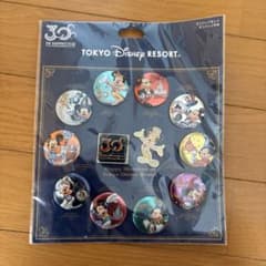 東京ディズニーリゾート 30周年 記念 カンバッジ ピンバッジセットのサムネイル