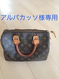 LOUIS VUITTONスピーディ25のサムネイル