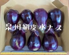 農薬不使用！泉州絹皮水なす【収穫期も終盤！】のサムネイル