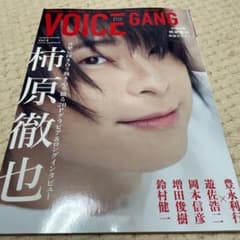 VOICE GANGのサムネイル