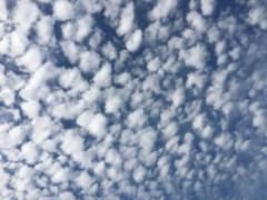 ふうてん様専用のサムネイル