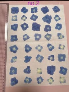 押し花素材 アジサイ 青のサムネイル