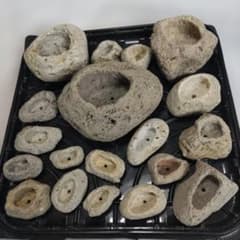 手作り 軽石鉢19個セット 盆栽 寄せ植え ① - メルカリ
