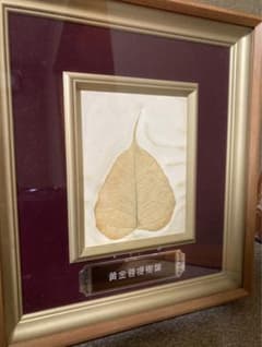 黄金菩提樹葉 アンティーク　金色 黄金菩提樹葉 アンティーク 金色 - メルカリ