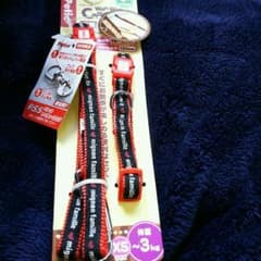 新品！子犬、小型犬 リード＆首輪セットのサムネイル