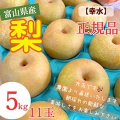 富山県産 幸水梨 正規品質 5kg 9〜13玉(調整可能)のサムネイル
