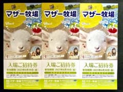 マザー牧場　チケット　3枚のサムネイル