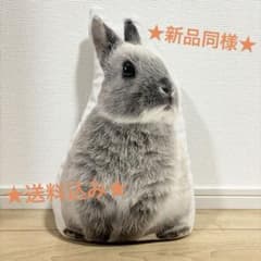 m54832406141_1.jpg?1727093684