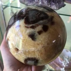 セプタリアン 玉 穴がナチュラルのサムネイル