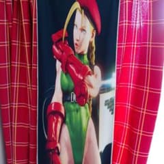 캐미 넥 쿨러 포스터 스트리트 파이터 하이레그