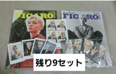 Madame Figaro Mode ヨシ 雑誌・トレカ全種セットのサムネイル