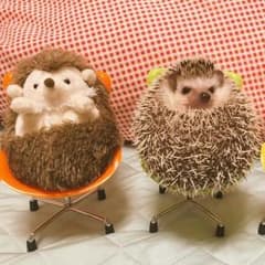 びーこ様 専用のサムネイル