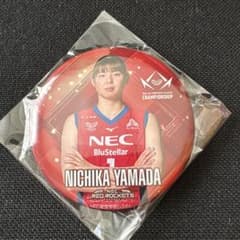 セ*タ様 山田二千華 NECレッドロケッツ バレーボール グッズのサムネイル