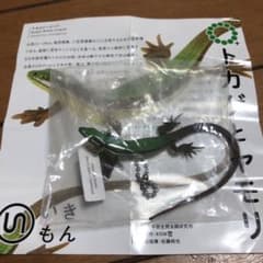 トカゲとヤモリ　アオカナヘビ　オス　キーホルダーのサムネイル