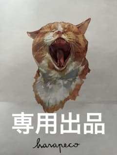 専用出品のサムネイル
