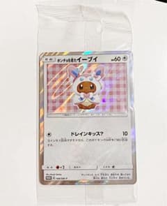 【未開封】ポンチョを着たイーブイのサムネイル