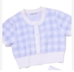 ※激レア早い者勝ちalexander wang ギンガムチェック(再販)のサムネイル