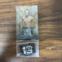 RIZIN 元谷友貴 アクリルスタンド 10周年記念のサムネイル