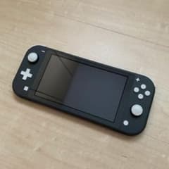 【あつ森セット】ニンテンドースイッチ　ライト　グレーのサムネイル